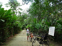 ORG_DSC06583