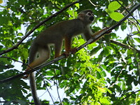 ORG_DSC06558