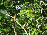 ORG_DSC06552