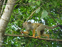 ORG_DSC06551