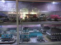 ORG_DSC06515