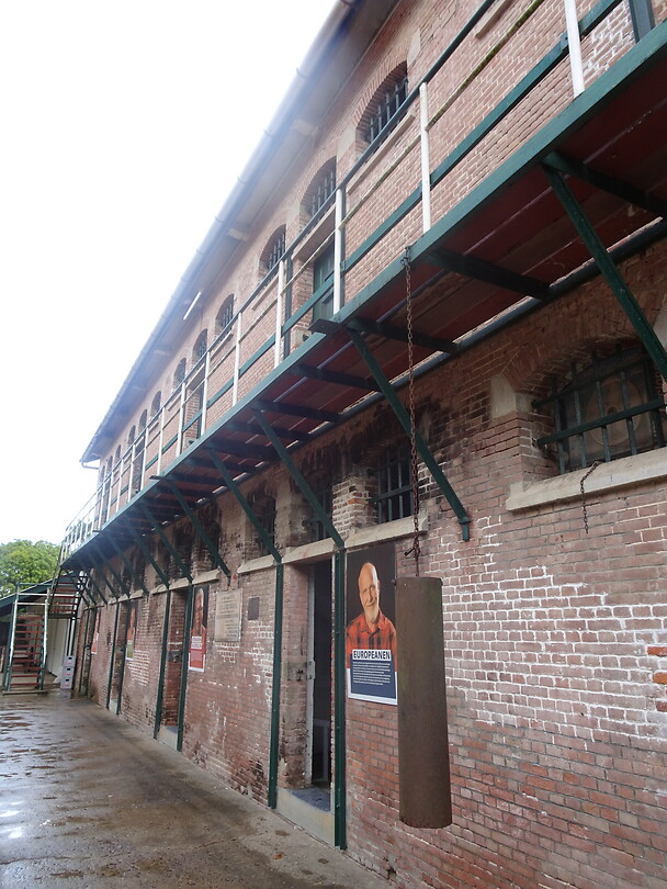 ORG_DSC06513