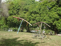 ORG_DSC06505