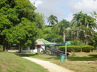 ORG_DSC06506