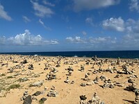 IMG_3761