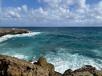 IMG_3768