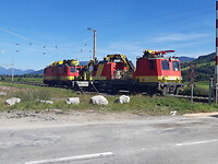 Ivar