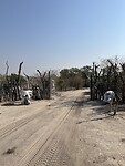 IMG_5352