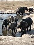 IMG_5343
