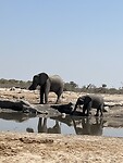 IMG_5325