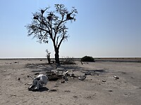 IMG_5316