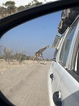 IMG_5305