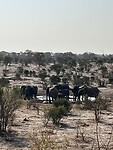 IMG_5281