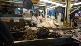 fresh and cheap