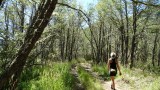 natuurpark Villarica