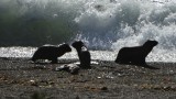 Spelen aan zee