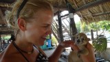 Te schattig