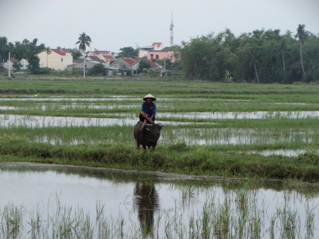 DSC05805