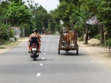DSC06220