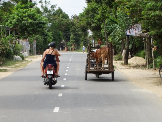 DSC06220