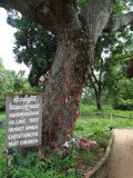 DSC06545