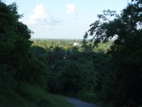DSC07223