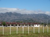 DSC07983