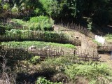 DSC08061