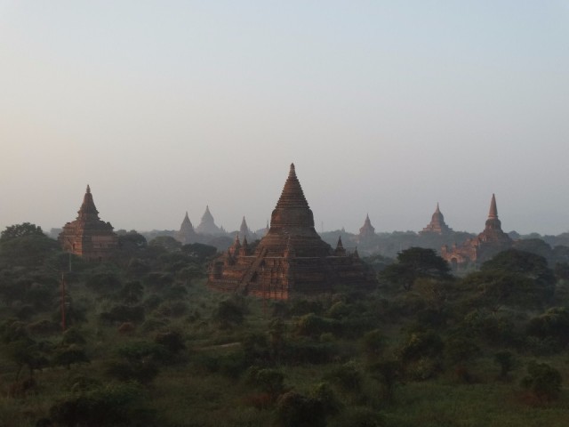 DSC09424