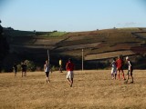 DSC00344