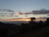 DSC00394