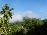 DSC01332