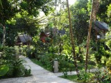 DSC01338