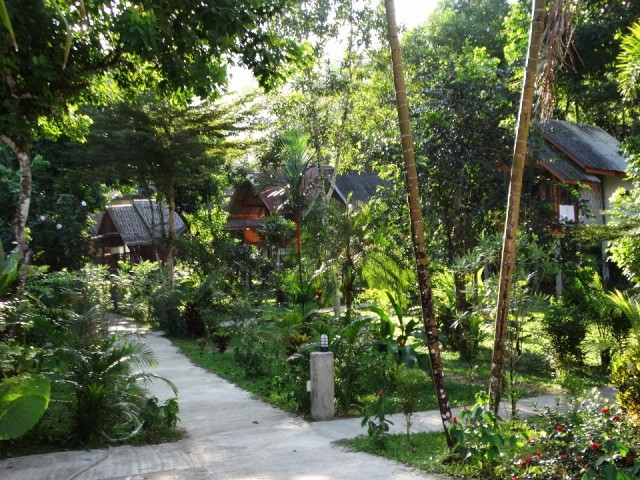 DSC01338