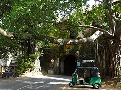 DSC02148