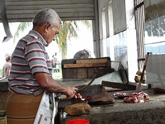 DSC02194