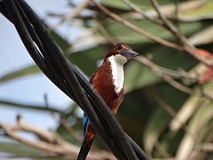 DSC02372