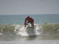 DSC02496
