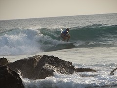 DSC02621