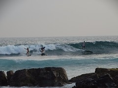 DSC02656