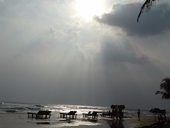 DSC02928