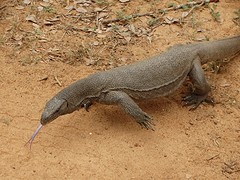 DSC03251