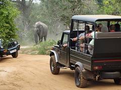 DSC03440