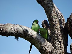 DSC03608