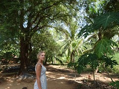 DSC03622