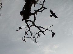 DSC03735