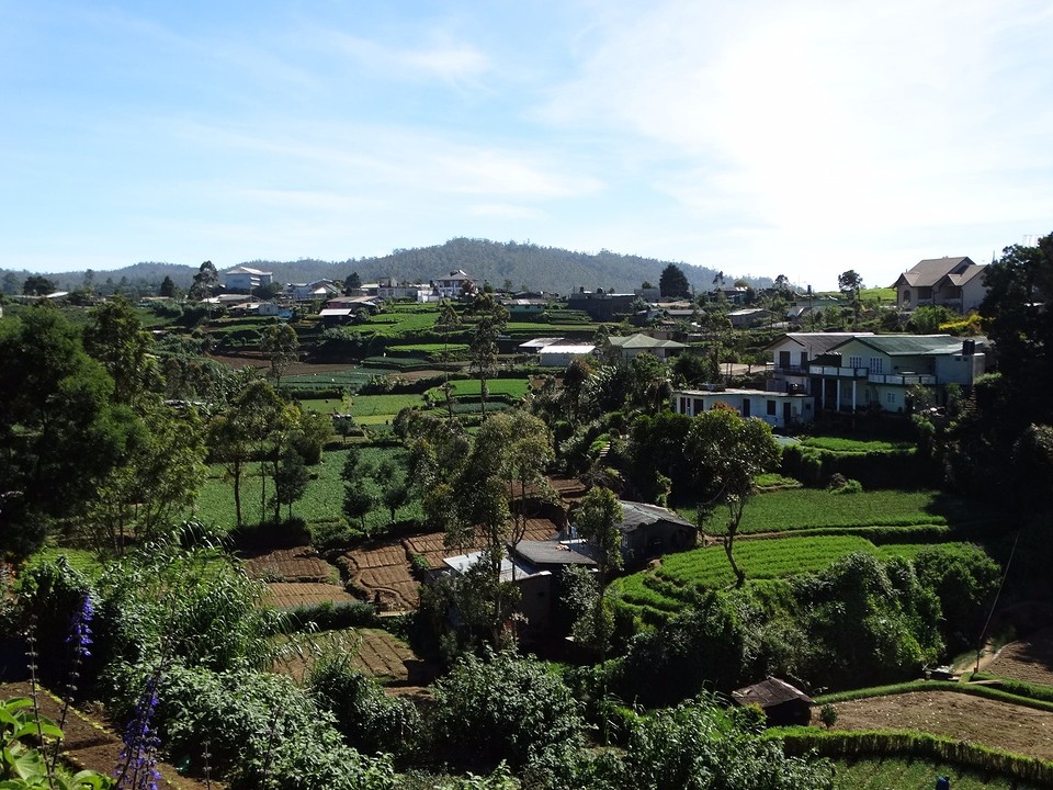 DSC03858