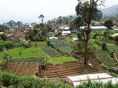 DSC04124