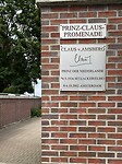 IMG_5294