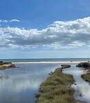 IMG_5767